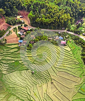 Wat Ban Wen rice fields in Nan province, Thailand