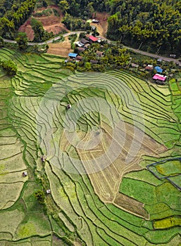 Wat Ban Wen rice fields in Nan province, Thailand