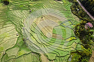 Wat Ban Wen rice fields in Nan province, Thailand