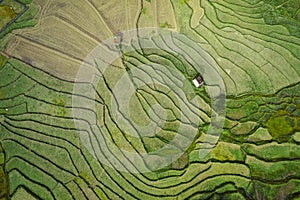 Wat Ban Wen rice fields in Nan province, Thailand