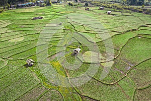 Wat Ban Wen rice fields in Nan province, Thailand