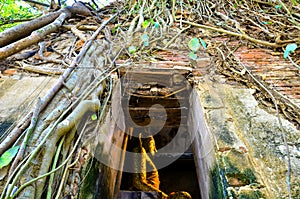 Wat Bang Kung The Church of Jesus Christ in Samut songkhram province tree