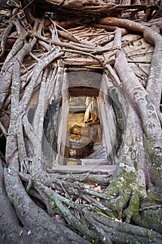 Wat Bang Kung in Samut Songkhram, Thailand.