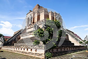 Wat Chedi Luang Varavihara. landmark for tourist at Chiang Mai,Thailand. This temple in the old city center of Chiang Mai,Thailand