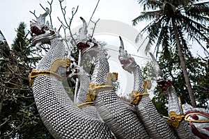 Wat Hua Xiang temple in Luang Prabang, Laos photo