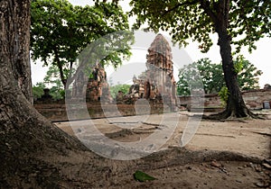 Wat Maha Tha , Ayutthaya Historical Park, Thailand