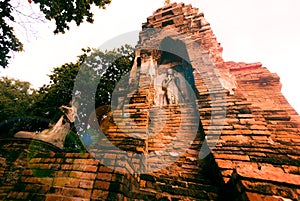 Wat Mahathat , Ayutthaya , Thailand