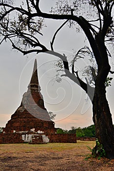 Wat Mahathat. Ayutthaya. Thailand