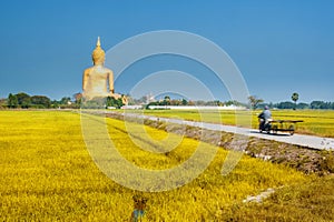 Wat muang