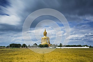 Wat Muang with gilden giant big Buddha statue