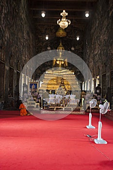 Wat Pho photo