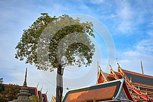 Wat Phra Chetuphon Wat Pho or Wat Phra Chetuphon Vimolmangklararm Rajwaramahaviharn