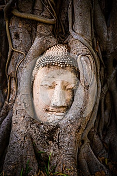 Wat Phra Mahathat temple with head statue trapped in bodhi tree in Phra Nakhon Si Ayutthaya, Thailand