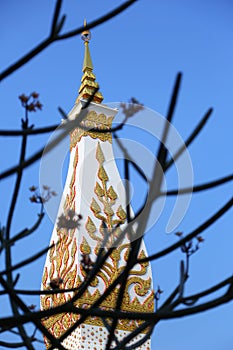 Wat Phra That Panom