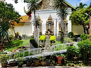 wat phrathat doi suthep temple shrine buddha palms pray palm sun sunny day city outside nature trip chiang mai thailand