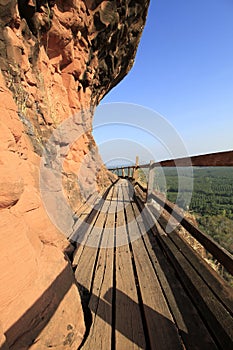 Wat Phu Tok in Bungkan Province , Thailand