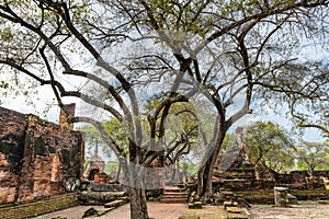 Wat Pra Sri Sun Phet in ruins
