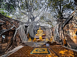 Wat Sai temple ruin covered by banyan tree roots, in Sing Buri Thailand