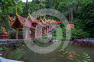 Wat Tham Tup Tao or Tham Tup Tao , Chai Prakan, Chiang Mai, Thailand