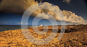 Wata mula on the Westpoint of Curacao