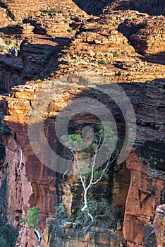 Watarrka cliff edge