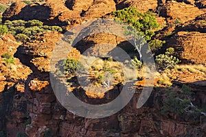 Watarrka Kings Canyon