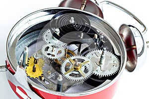 Watch mechanism with macro detail and steel gears