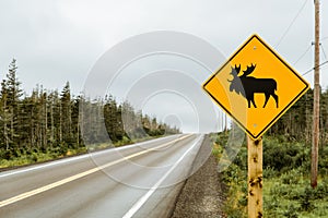 Watch out for moose. Warning yellow sign and Canadian highway