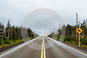 Watch out for moose. Warning yellow sign and Canadian highway