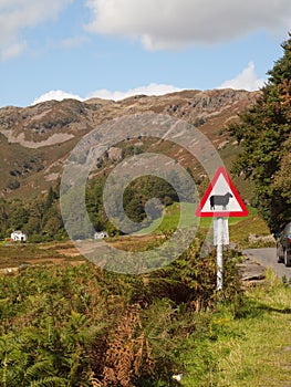 Watch out for the sheep road sign