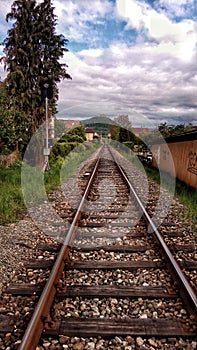 Watch them go far away..... photo