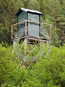 Strážní věž v hlubokém lese