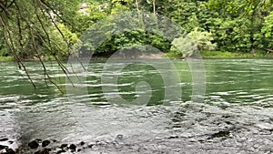 Watching the flowing river Aare in the forest