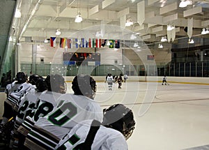 Watching the hockey game