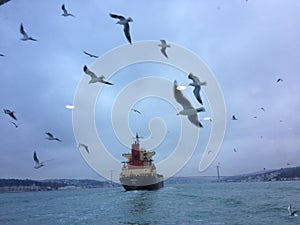 Watching the ships through the window