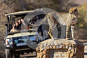 Watching the watched