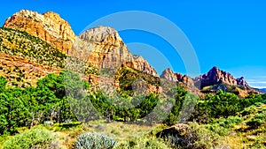 The Watchman and Bridge Mountain viewed from the Pa`rus Trail in Zion National Park, UT, USA