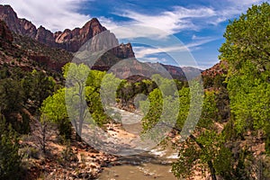 The Watchman cliff and Virgin River, Zion National Park, Utah