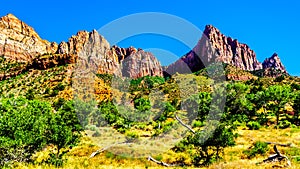 The Watchman and Bridge Mountain viewed from the Pa`rus Trail in Zion National Park, UT, USA photo