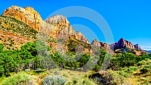 The Watchman and Bridge Mountain viewed from the Pa`rus Trail in Zion National Park, UT, USA photo