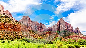 The Watchman mountain viewed from the Pa`rus Trail in Zion National Park, Utah