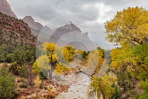 Watchman and Virgin River in fall