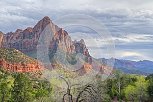 The Watchman Zion National Park photo