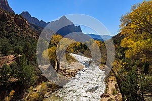 The Watchman Zion National Park Utah in Autumn