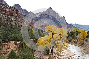 The Watchman in Zion NP