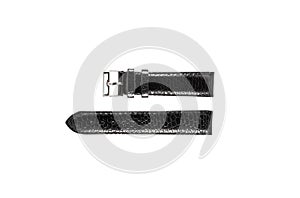 The watchstrap isolated