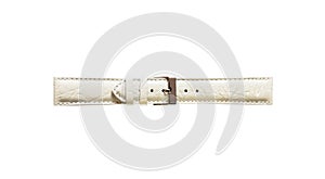 The watchstrap isolated