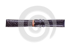 The watchstrap isolated