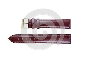 The watchstrap isolated