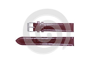 The watchstrap isolated